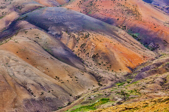 A colors of Himalayas. Spiti valley, Himachal Pradesh, India
