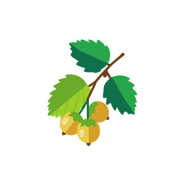 Yellow Berries on a Green Leafy Branch