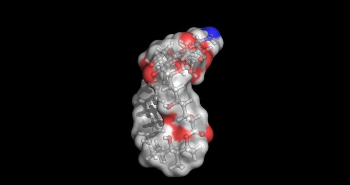 Amphotericin B, polyene macrolide antifungal for systemic fungal infections, 3D molecule spinning, 4K