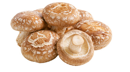 Pile of fresh shiitake mushrooms with brown caps and white gills, isolated on transparent background © Elena