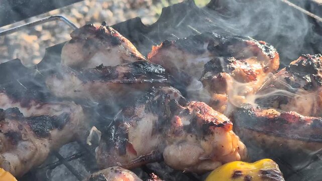 Barbecue chicken, grilled vegetables cooking on outdoor coal fire pit with thick plumes of white smoke rising. Close-up high angle shot.