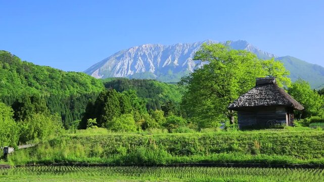 新緑の大山とカヤブキ小屋