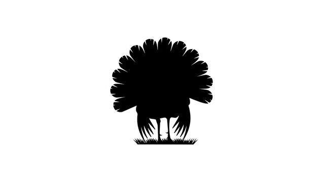 Turkey bird front view, black isolated vector silhouette
