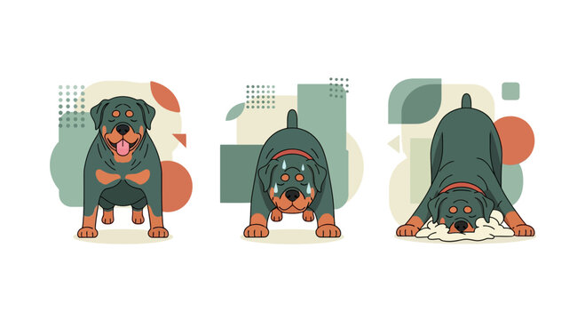 Rottweiler Dog Plank Challenge Exercise Fitness Vector Set