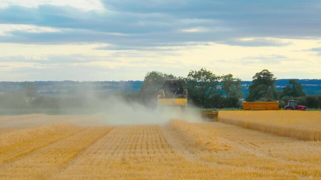 Combine harvester harvesting ripe wheat field with dust cloud across rural farmland. Heavy agricultural machinery leaving straw rows after grain harvest. Modern farming agronomy and cereal crop
