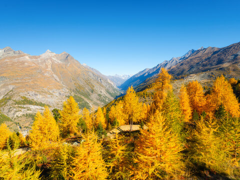 Mountain range above a colorful autumn forest on a clear day. Panoramic landscape of alpine nature and fall foliage.