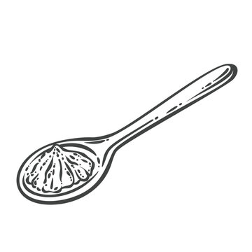 Mace spice in hand drawn black outline, shown as a dried aril in a wooden spoon. Menu, packaging and stamp design feature mace spice, vector illustration.