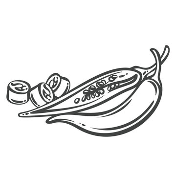 Chili pepper in hand drawn black outline with one whole pod, a cut half and sliced rings. Menu, packaging and stamp design feature chili pepper, vector illustration.