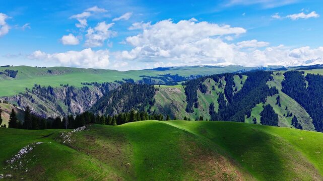 Aerial drone view of rolling green hills and deep valleys covered with dense spruce forests under a cloudy sky in Kalajun grassland, Xinjiang, China.