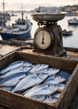 Fresh silver fish lie in a wooden crate beside a vintage scale at a bustling harbor during golden hour. Scene conveys fishing industry, product display, and seaside atmosphere.