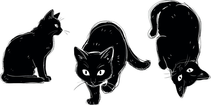 Mysterious black cat silhouette illustration bundle featuring artistic hand drawn kittens in different dynamic poses for creepy Halloween graphic design projects
