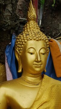 Golden Buddha Statue Shrine Under Sacred Tree with Offerings