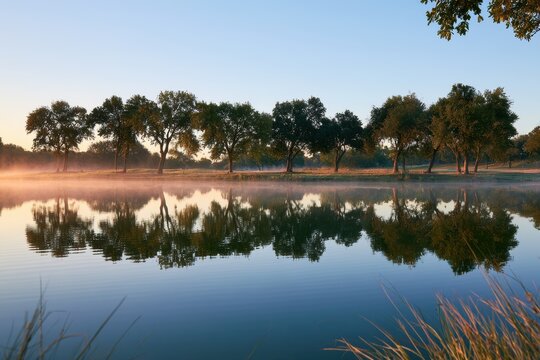 Serene Lakeside Scene: Morning Mist, Reflective Water, and Tree Line in Garland, Texas