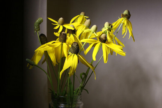 Floral background with yellow ratibida