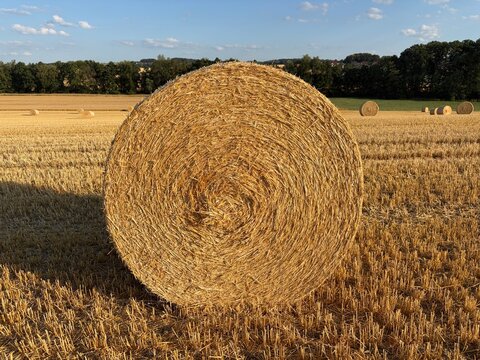 Runder Strohballen auf einem abgeernteten Kornfeld in Iserlohn im Sauerland