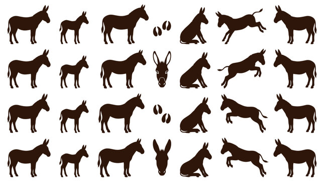 Donkey Silhouettes Collection - Ass and Mule Vector Icons