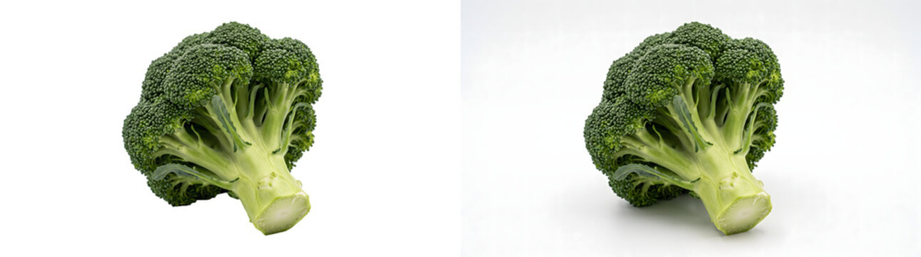 Fresh broccoli floret with vivid green texture and sliced stem used for healthy eating and organic food menu design shown in PNG, Transparent and White Background Versions