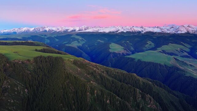 Aerial view of snow-capped mountains and green forest valleys under a pink sunset sky in Kalajun grassland, Xinjiang, China.