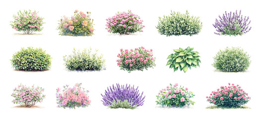 Obraz premium PNG Colorful flowering shrubs and garden bushes set isolated on transparent background
