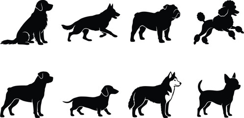 Obraz premium Set of black silhouettes of different dog breeds including golden retriever, bulldog, poodle, husky, dachshund, and chihuahua