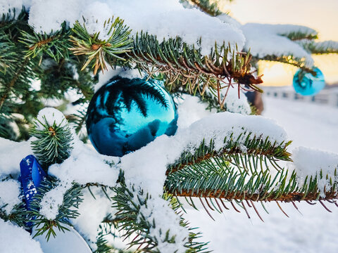 A Christmas tree stands in the snow, adorned with blue ornaments. The gentle light of the winter sun illuminates the white landscape