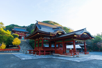 Fototapeta premium 日本の風景・秋 神奈川県鎌倉市 紅葉の鶴岡八幡宮 舞殿