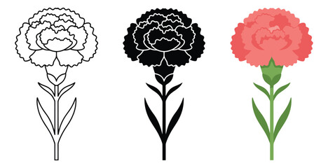 Fototapeta premium Mixed style set of 3 carnation flower illustrations depicting outline flat and silhouette versions for floral design