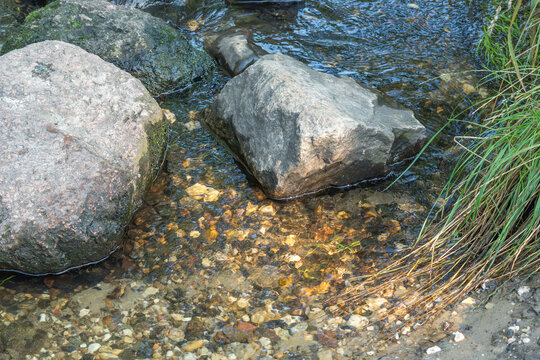 Large mossy boulders line the edge of a clear stream with sunlit pebbles visible beneath the surface. Tall green grass grows along the bank in this peaceful natural setting.