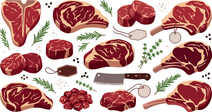Premium Raw Beef Cuts and Ribeye Steak Vector Illustration Set with T Bone Tomahawk Fillet Mignon Butcher Cleaver and Fresh Herbs