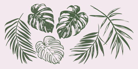 Obraz premium tropical leaves in block print style on light pink background green monstera palm