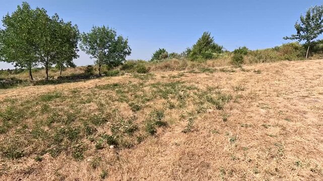 POV Walk Across Sunburned Heat-Stressed Grass in French Countryside During Heatwave, Occitanie, France