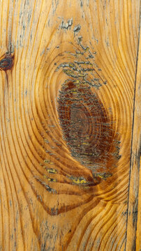 Rustic Pine Wood Grain Texture with Natural Knot Pattern. High-resolution closeup of a natural knotty pine wood texture featuring organic concentric rings and rich rustic grain detail.