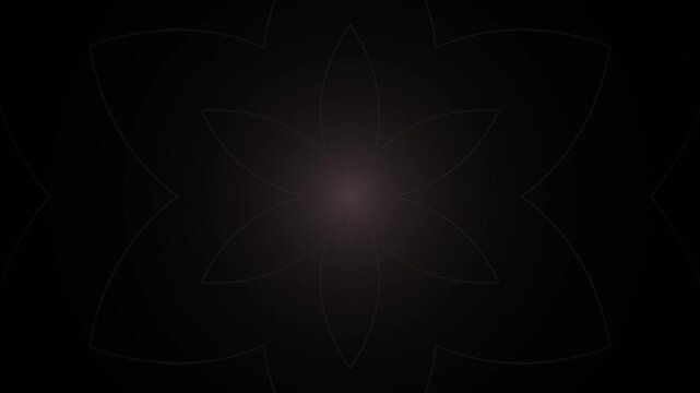 Abstract floral geometry features a looping animation of symmetrical petals on a dark background.