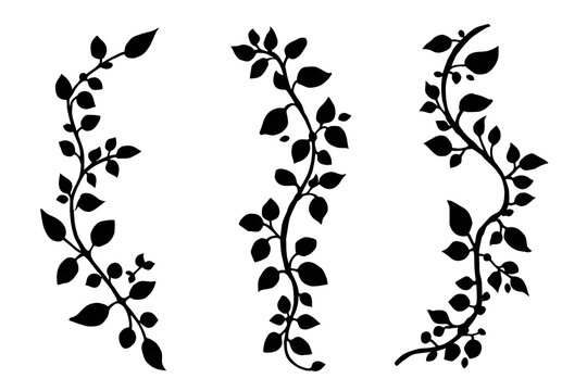 Three elegant black leafy vine dividers