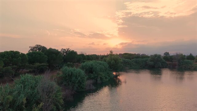 Sideways Drone Flight Over Quiet Lake with Bamboo Vegetation [180&deg; shutter angle from ProRes 10 bit S-Log]