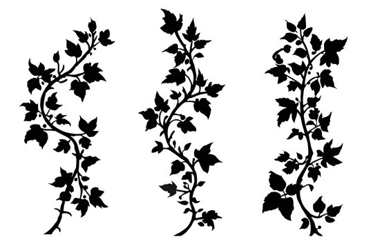 Ornate black rose vine border elements