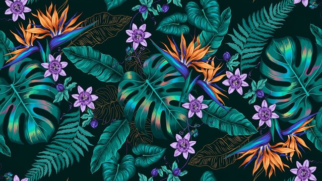 Tropical jungle pattern with bird of paradise flowers and monstera leaves including purple passion fruits and green ferns on dark background creating exotic rainforest botanical design.
