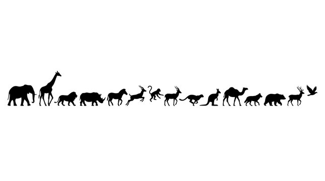 Diverse Animal Silhouettes: A collection of various animal silhouettes, including an elephant, giraffe, lion, rhino, horse, deer, cheetah, kangaroo, camel, wolf, bear, and bird, are lined up in a row.