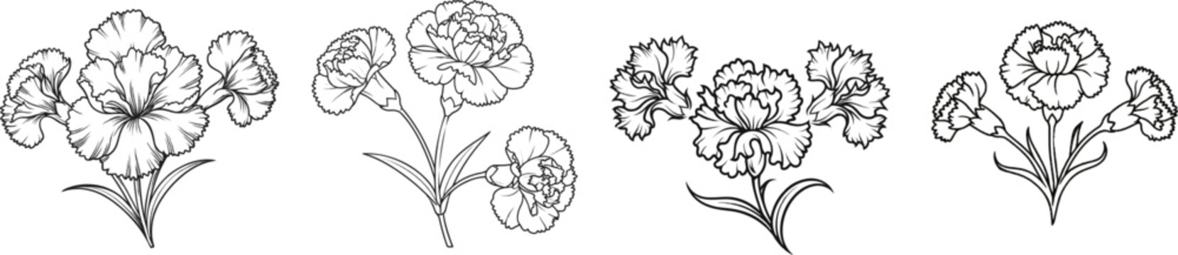 A minimalist black-and-white etching of three ruffled carnation heads on a white background, with clean lines delineating serrated petals against an untextured canvas