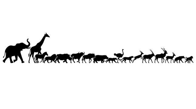 Wildlife Migration Silhouette: A striking silhouette showcases a diverse procession of African wildlife, from majestic elephants and giraffes to zebras and antelopes, moving across the horizon.