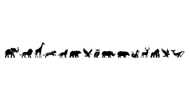 Animal Silhouettes: A collection of black silhouettes of various wild animals, including an elephant, lion, giraffe, cheetah, wolf, bear, eagle, owl, rhinoceros, monkey, deer, gorilla, and a whale.