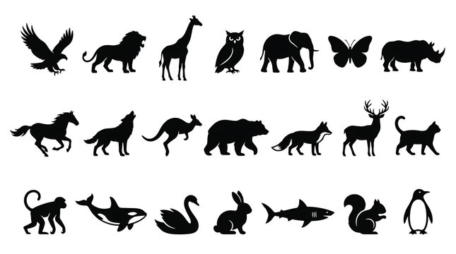Animal Silhouettes Collection: A diverse array of animal silhouettes displayed in a grid, showcasing a variety of creatures from different habitats.