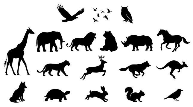 Animal Silhouettes Collection: A comprehensive assortment of animal silhouettes, featuring diverse species from majestic lions and elephants to swift birds and agile kangaroos.