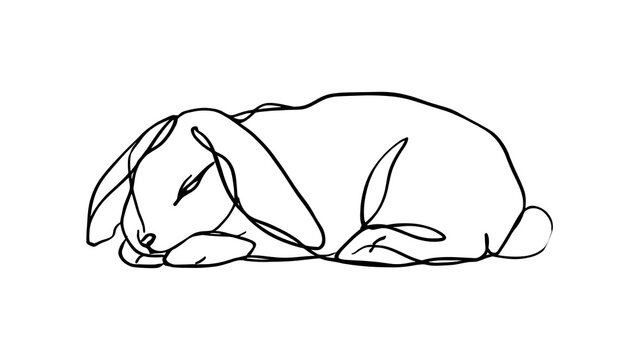 Sleeping rabbit illustration on white background.