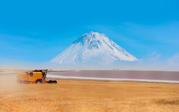 Combine harvester harvesting wheat field Haan Mountains in the background