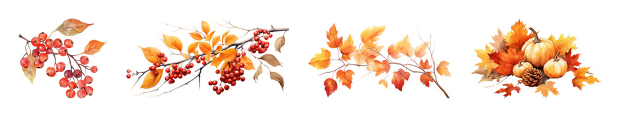 Naklejka premium PNG Autumn leaves and berries watercolor borders, transparent background