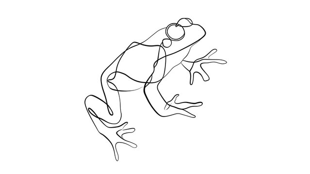 Line art frog illustration on white background.