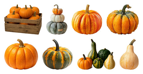 PNG Variety of pumpkins and gourds in autumn colors, transparent background