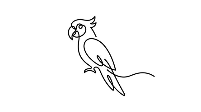 Minimalist parrot illustration, continuous line art, elegant bird drawing, single line design