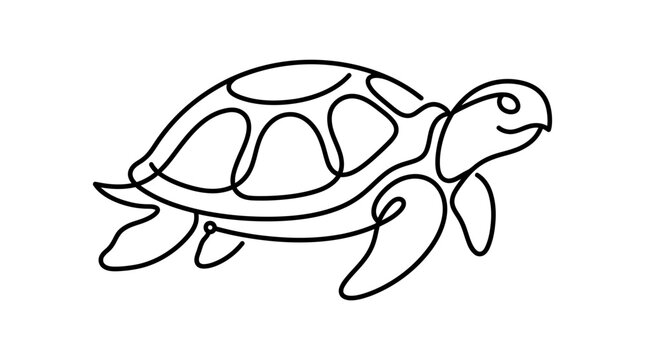 Minimalist continuous line drawing of a sea turtle on white background